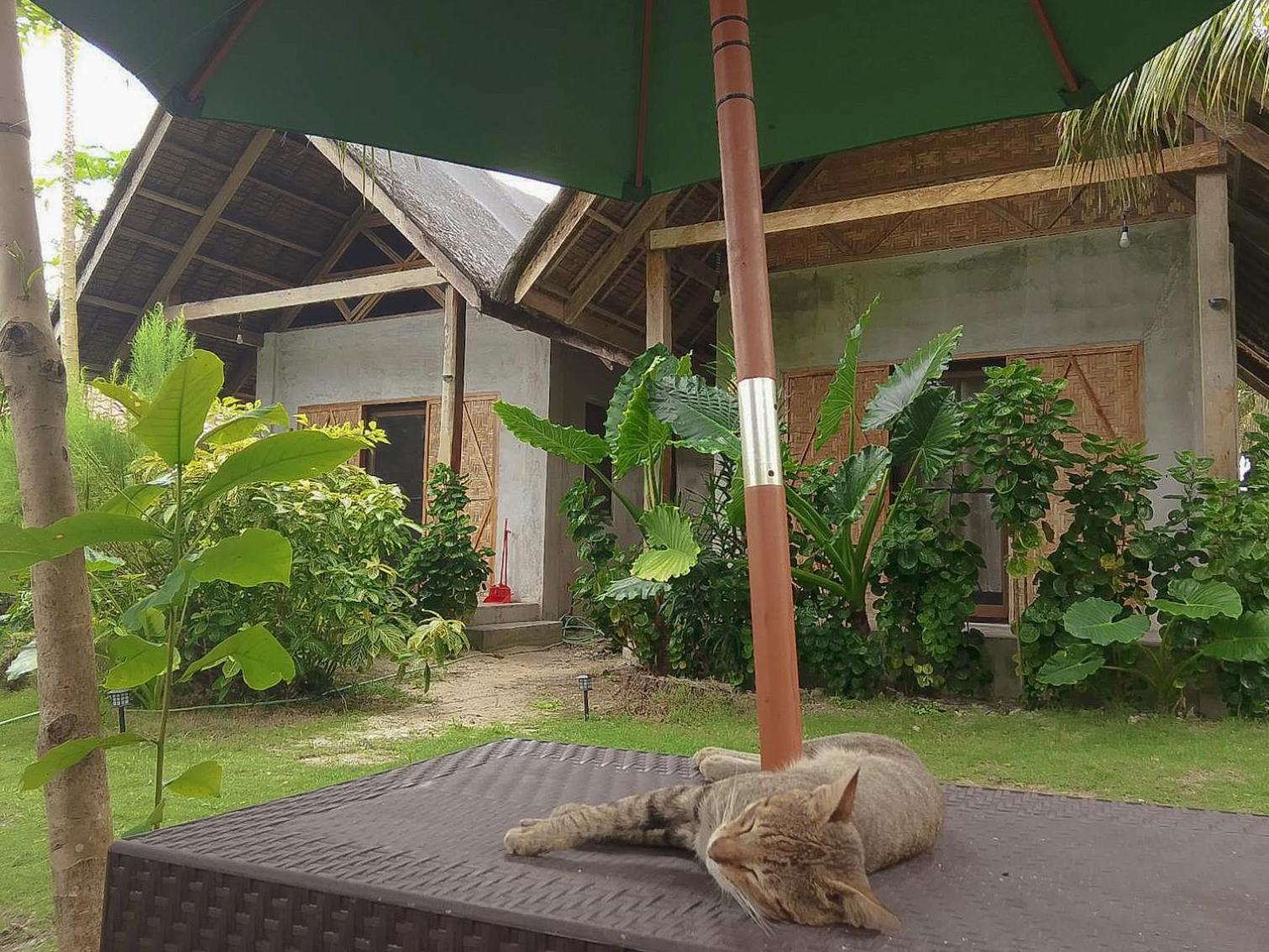 Bed and Breakfast Coleto Siargao San Isidro  Exterior foto