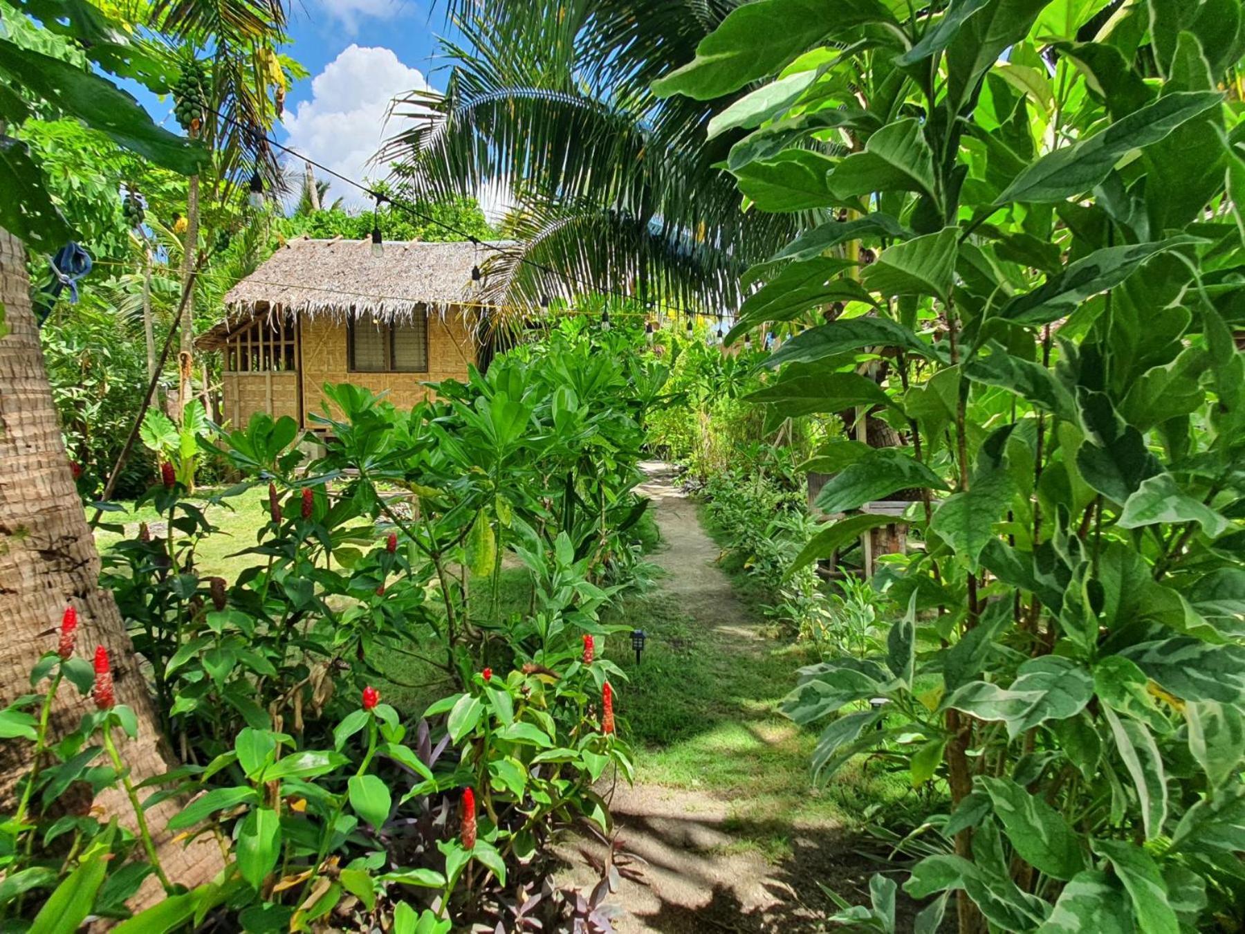 Bed and Breakfast Coleto Siargao San Isidro  Exterior foto